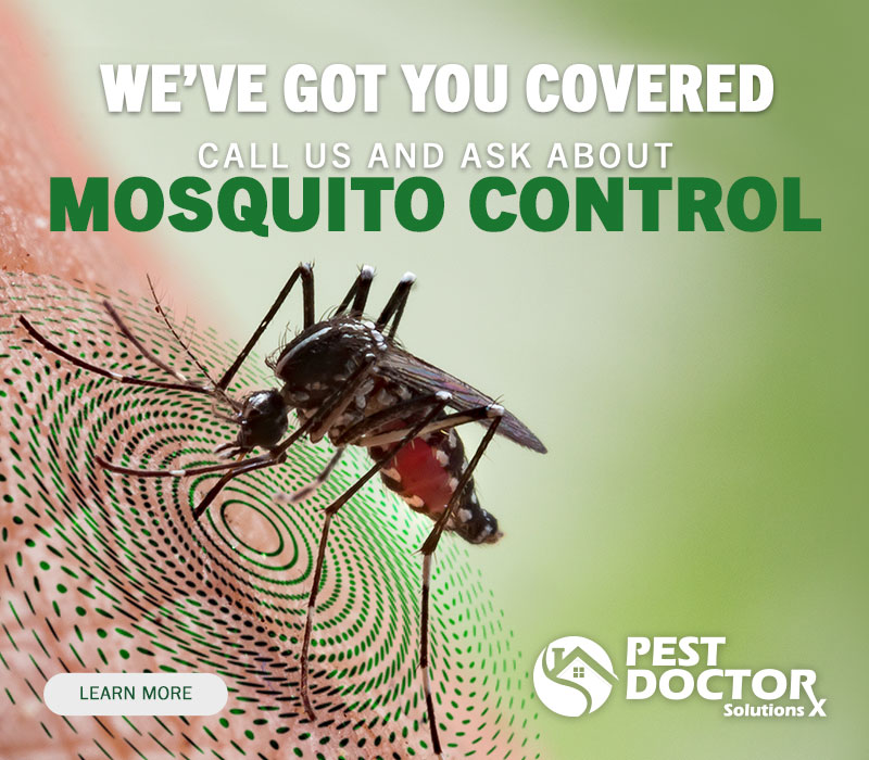 We've got you coverd - mosquito control