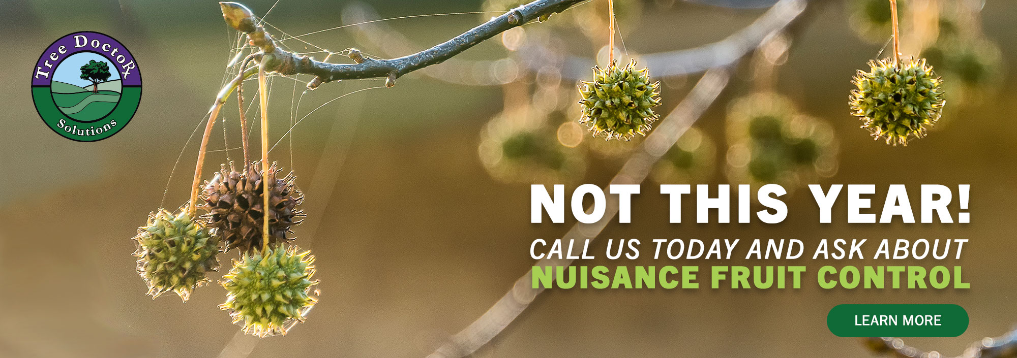 Not this year! Nuisance Fruit Control. 