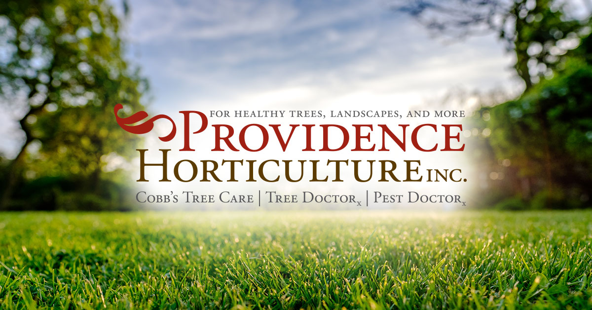 PROVIDENCE HORTICULTURE INC logo