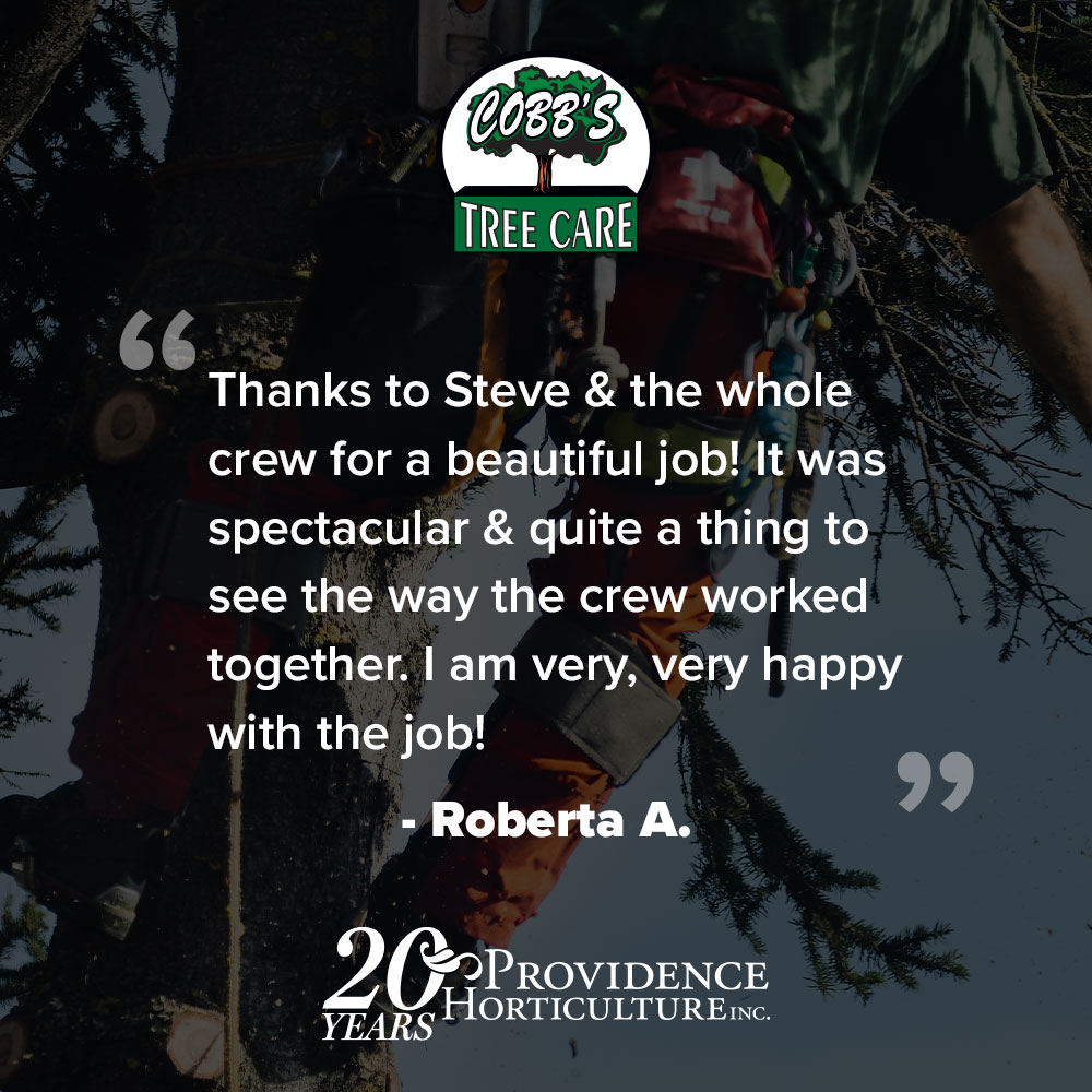 ‚ÄúThanks to Steve & the whole crew for a beautiful job! It was spectacular & quite a thing to see the way the crew worked together. I am very, very happy with the job!‚Äù Roberta A.