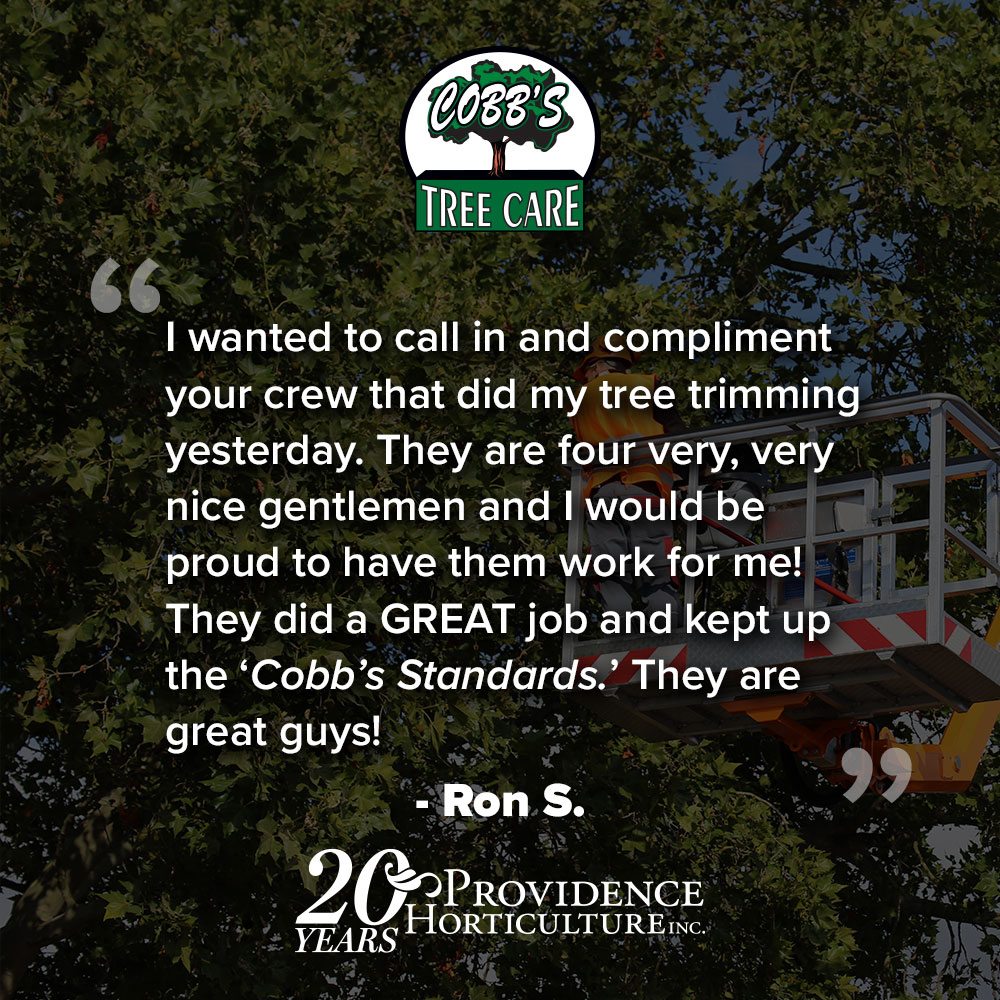‚ÄúI wanted to call in and compliment your crew that did my tree trimming yesterday. They are four very, very nice gentlemen and I would be proud to have them work for me! They did a GREAT job and kept up the ‚ÄúCobb‚Äôs standards‚Äù‚Ä¶.they are great guys!‚Äù Ron S.