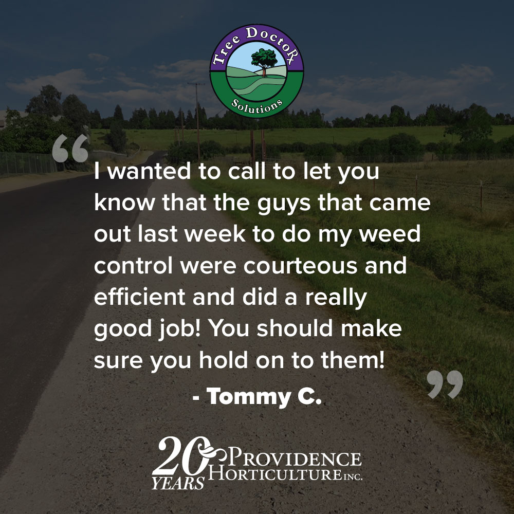 ‚ÄúI wanted to call to let you know that the guys that came out last week to do my weed control were courteous and efficient and did a really good job! You should make sure you hold on to them!‚Äù   Tommy C.