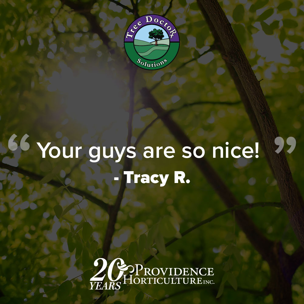 ‚ÄúYour guys are so nice!‚Äù  Tracy R.