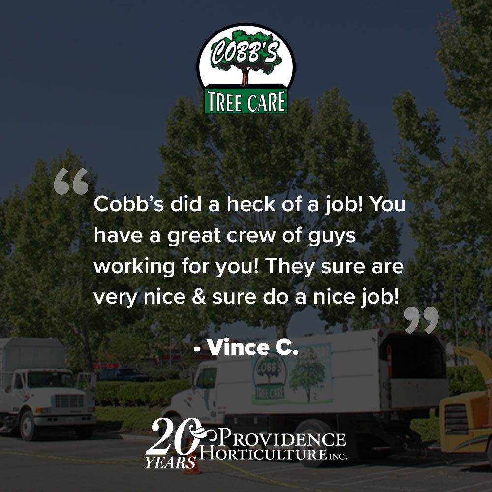 ‚ÄúCobb‚Äôs did a heck of a job! You have a great crew of guys working for you! They sure are very nice & sure do a nice job!‚Äù Vince C.
