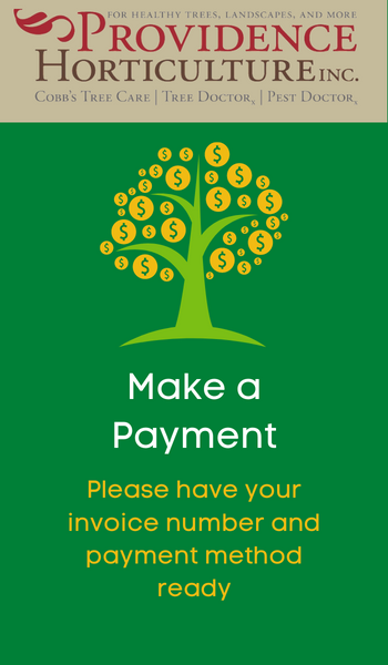 Click here to go to the payment portal